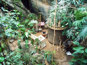 Knight Rainforest Exhibit