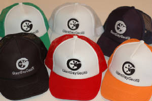 Logo Hats- GiantDayGecko.com