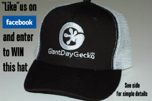 Hat Give Away- Logo hats