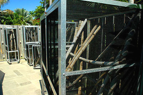 Heavy duty outdoor reptile enclosures at GiantDayGecko.com