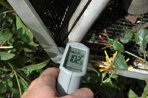 Extreme temp