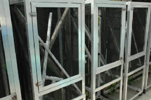 Reptile cage