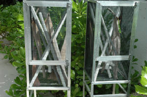 Outdoor reptile cage
