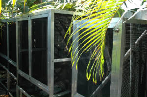 Outdoor Enclosures